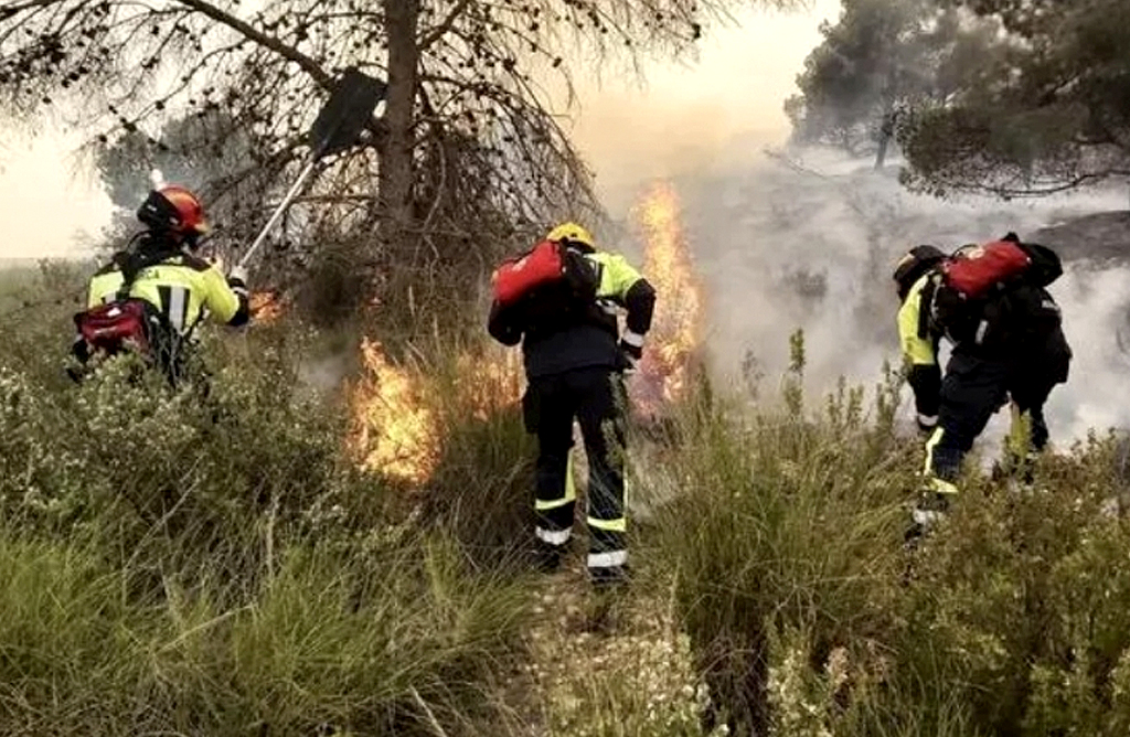 El Gobierno declara zona catastr�fica las 400 hect�reas arrasadas por el fuego en el Llano de Las Cabras